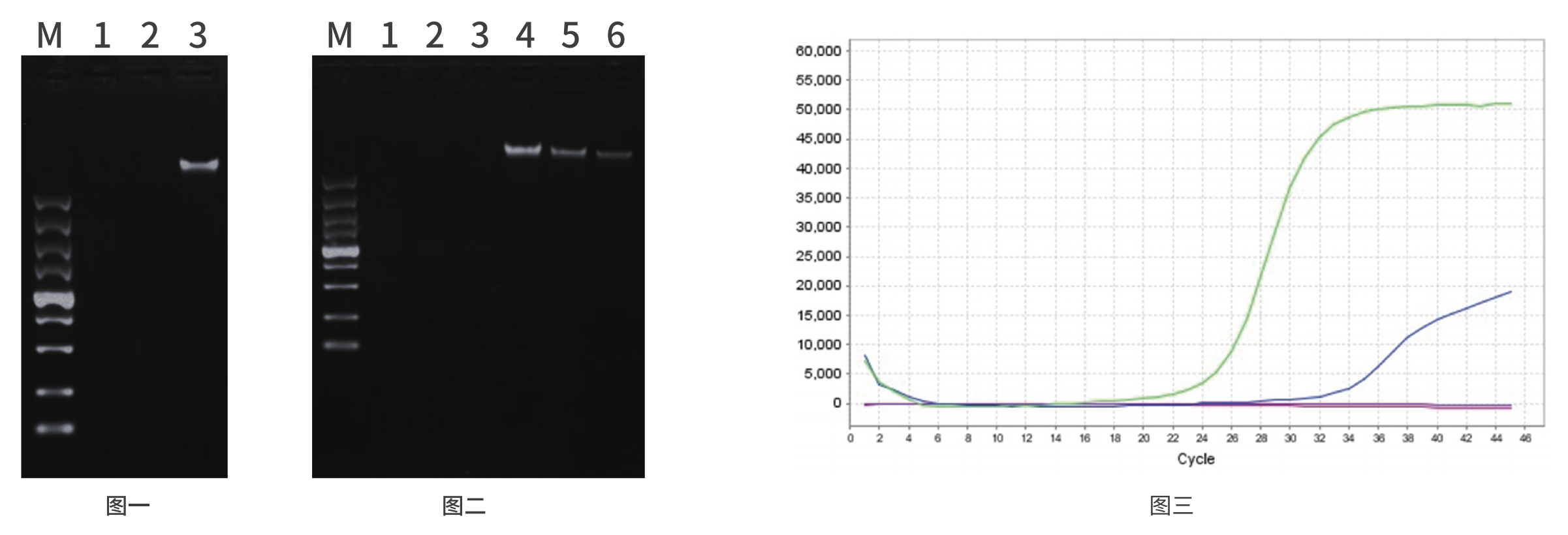 核酸清除剂(图1) 核酸清除剂(图1)