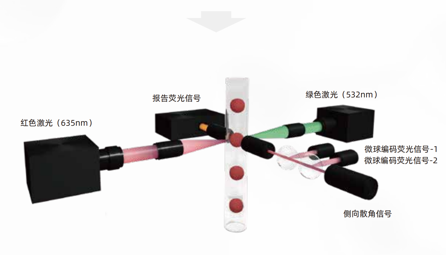 流式点阵仪(图3) 流式点阵仪(图3)