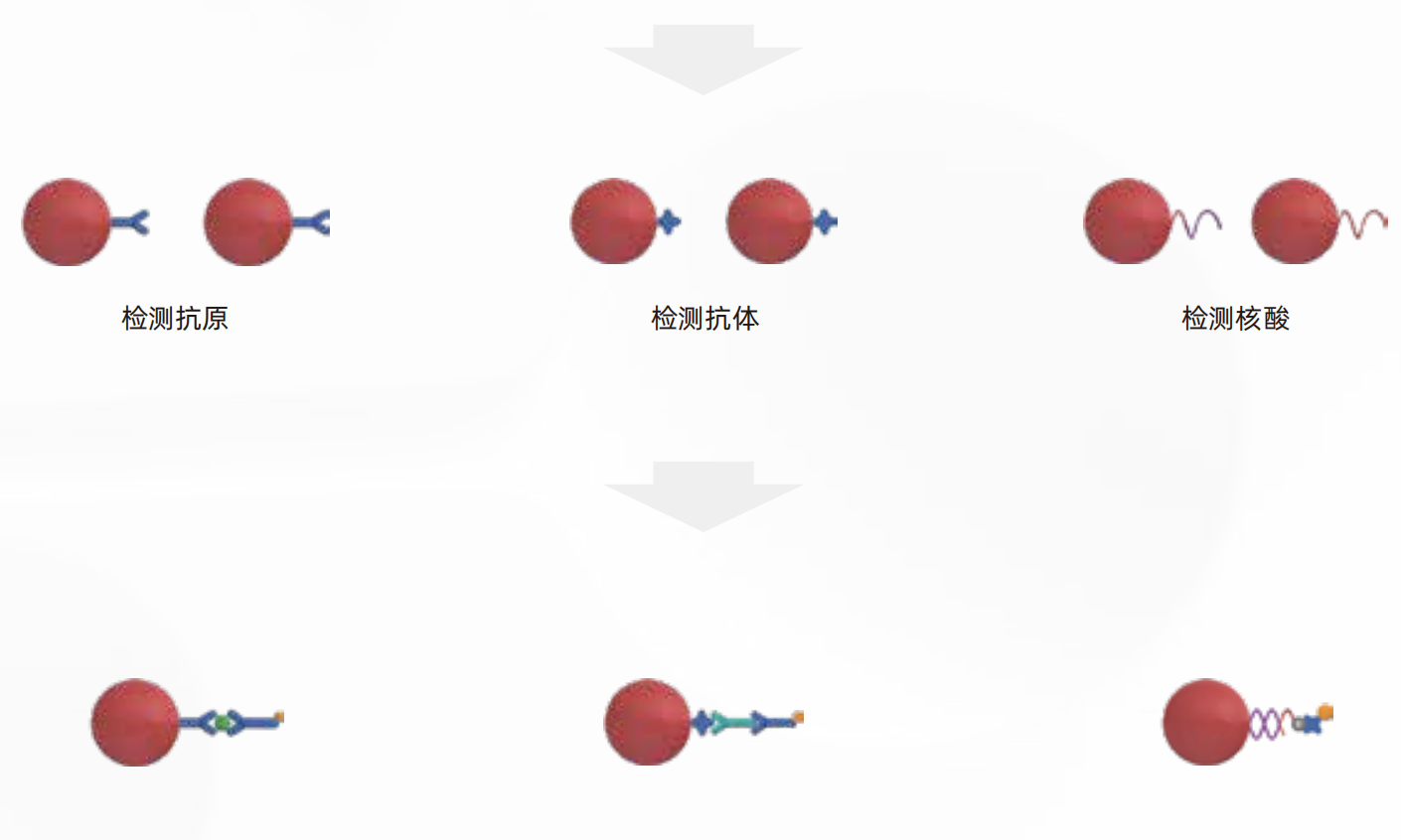 流式点阵仪(图2) 流式点阵仪(图2)