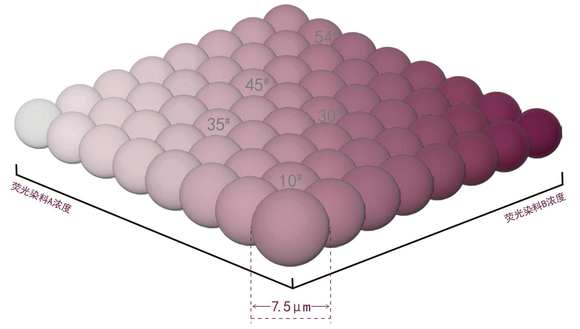 流式点阵仪(图1) 流式点阵仪(图1)